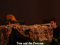 Tom and possum